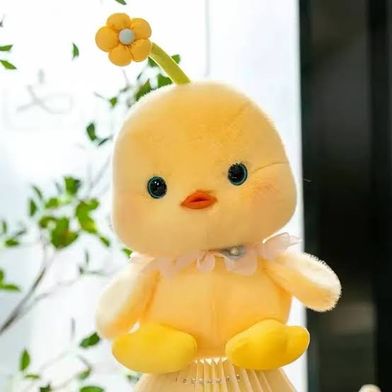 جوجه کاکولی
